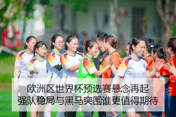 欧洲区世界杯预选赛悬念再起 强队稳局与黑马突围谁更值得期待